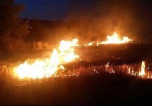 آتش سوزی ارتفاعات شهرک جوادیه شیراز مهار شد