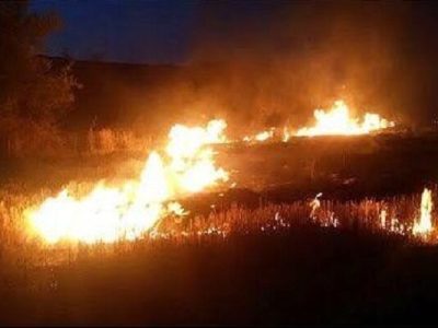 آتش سوزی ارتفاعات شهرک جوادیه شیراز مهار شد