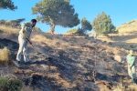 آتش سوزی در ارتفاعات قلعه سفید ممسنی مهار شد