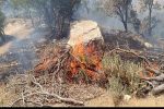 آتش سوزی در بلوار چمران شیراز