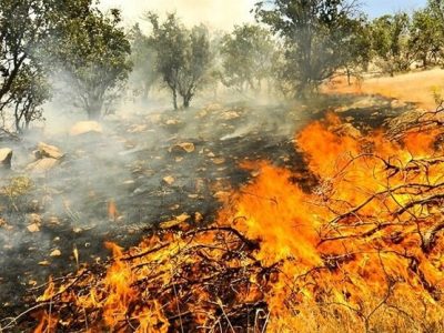 آتش‌سوزی گسترده مراتع و ارتفاعات شهرستان ممسنی