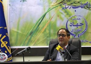 تعاون روستایی ۶۳۰ هزار تن گندم کشور را خریداری کرد