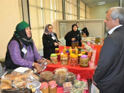 توانمندسازی زنان روستایی و عشایر با تقویت سواد دیجیتال