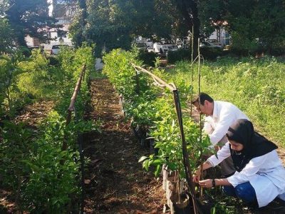 توسعه آموزش کشاورزی از هنرستان تا مزرعه