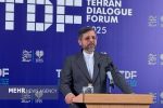 حضور ۲۰۰ مهمان و هیئت خارجی در مجمع گفتگوی تهران
