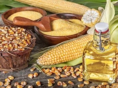 دانه‌های روغنی در حادثه اسکله شهید رجایی آسیبی ندیدند