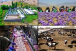 روستاهای کارآفرین؛ افق نوین توسعه محلی