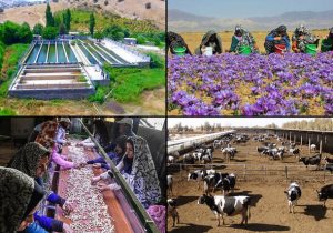 روستاهای کارآفرین؛ افق نوین توسعه محلی