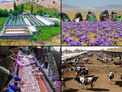 روستاهای کارآفرین؛ افق نوین توسعه محلی