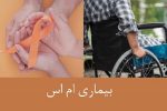 شناسایی بیش از ۹ هزار نفر مبتلا به ام‌اس در فارس