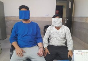 عاملان فروش بذر تقلبی در مرودشت فارس دستگیر شدند