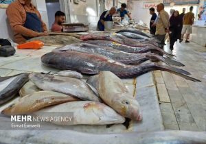 عرضه آبزیان حرام گوشت در فارس خلاف شرع و غیرقانونی است