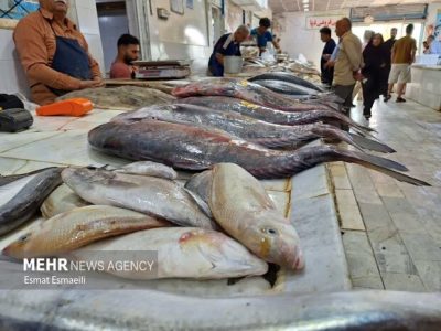 عرضه آبزیان حرام گوشت در فارس خلاف شرع و غیرقانونی است