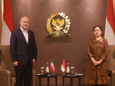 قالیباف با رئیس مجلس نمایندگان اندونزی دیدار کرد