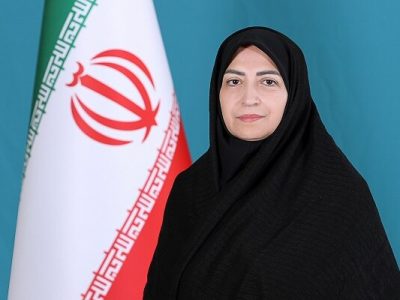 معاون رئیس جمهور و رئیس سازمان حفاظت محیط زیست وارد شیراز شد