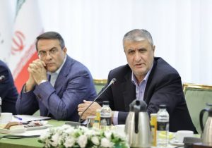 کارآمدی دولت در گرو تعامل و هم‌افزایی مستمر بین دستگاه‌های اجرایی