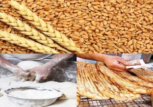 یارانه آرد و نان برای افزایش کارایی و شفافیت بیشتر تفکیک شود