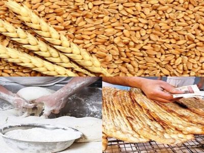 یارانه آرد و نان برای افزایش کارایی و شفافیت بیشتر تفکیک شود