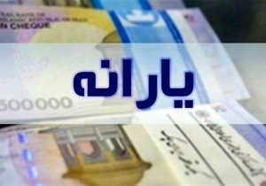 یارانه معیشتی نباید صرفاً بر اساس داده‌های پایگاه رفاه ایرانیان تخصیص یابد