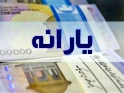 یارانه معیشتی نباید صرفاً بر اساس داده‌های پایگاه رفاه ایرانیان تخصیص یابد