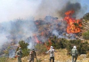 عمدی بودن ۹۹ درصد آتش‌سوزی‌ های طبیعت در فارس