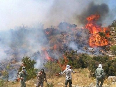 عمدی بودن ۹۹ درصد آتش‌سوزی‌ های طبیعت در فارس