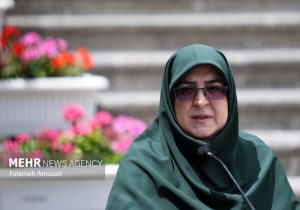 مهاجرانی: دولت مصمم به بازگشت اتباع غیرمجاز است
