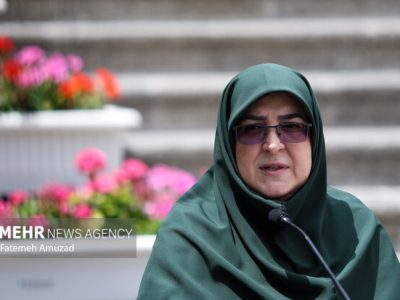مهاجرانی: دولت مصمم به بازگشت اتباع غیرمجاز است